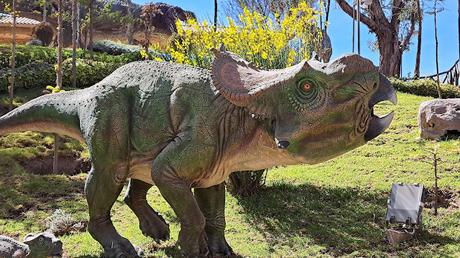 BOLIVIA : EL PARQUE CRETÁCICO CAL ORCKO