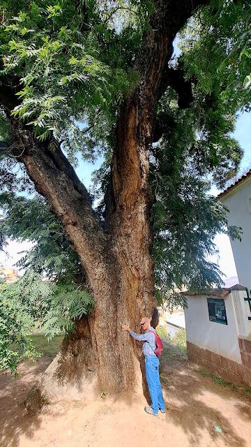 BOLIVIA : LA CIUDAD BLANCA DE SUCRE BOLIVIA : LA CIUDAD BLANCA DE SUCRE