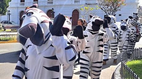 BOLIVIA : LA CIUDAD BLANCA DE SUCRE BOLIVIA : LA CIUDAD BLANCA DE SUCRE