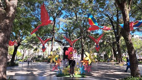 BOLIVIA : LLEGADA A SANTA CRUZ BOLIVIA : LLEGADA A SANTA CRUZ