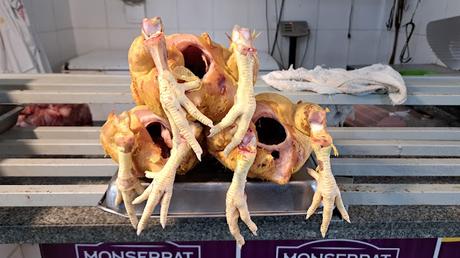 BOLIVIA : LLEGADA A SANTA CRUZ BOLIVIA : LLEGADA A SANTA CRUZ