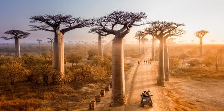 10 lugares imperdibles para los amantes del exotismo