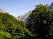 Harto patrañas sobre incendios