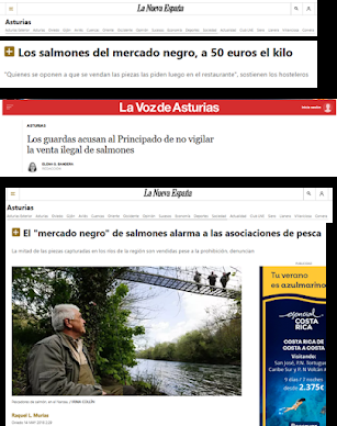 No les importa el salmón, les importa el dinero