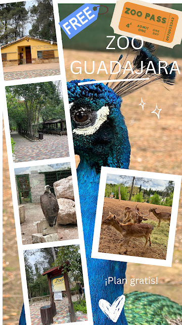ZOO DE GUADALAJARA (=CENTRO DE RECUPERACIÓN DE FAUNA)
