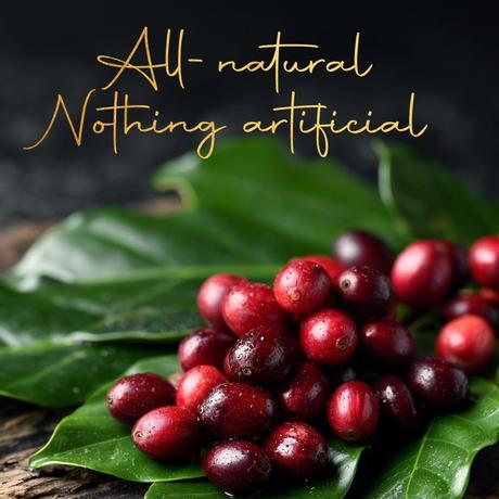 Diseño de banner para página web granos de cafe