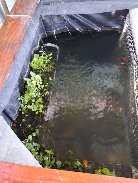 Mas disfrutes en mi azotea