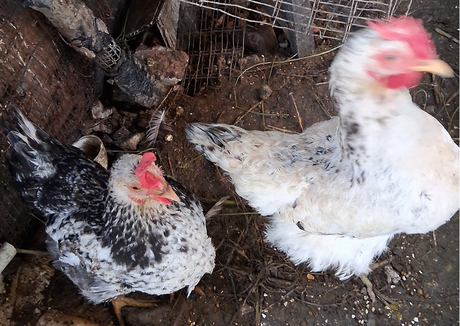 Mas disfrutes en mi azotea