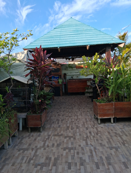 Mas disfrutes en mi azotea