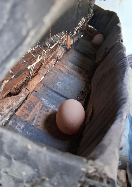 Mas disfrutes en mi azotea