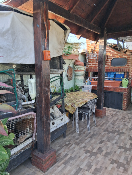 Mas disfrutes en mi azotea