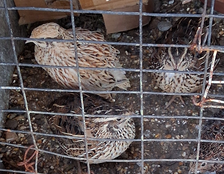 Mas disfrutes en mi azotea