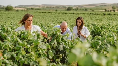 Un paseo por los vinos más emblemáticos de Carmelo Rodero