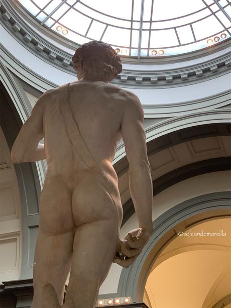 El secreto de El David esculpido por Miguel Angel. 209873C2-02DB-4786-9361-1C5A11A65BA2.jpeg