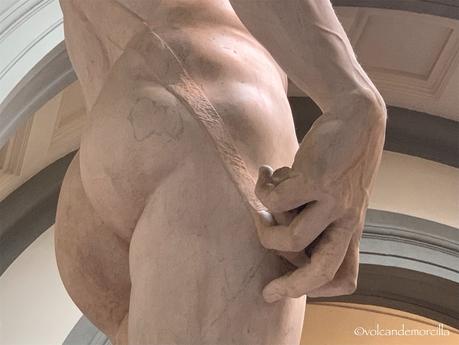 El secreto de El David esculpido por Miguel Angel. 8CA9C53A-E4ED-4E3A-817B-69D4DB0FD19A.jpeg