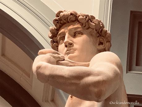 El secreto de El David esculpido por Miguel Angel. 9F816ABD-E4D8-43A9-BB02-958636F30815.jpeg