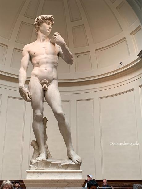 El secreto de El David esculpido por Miguel Angel. 271C2494-32D0-4DCB-9D57-8B827781DDEE.jpeg