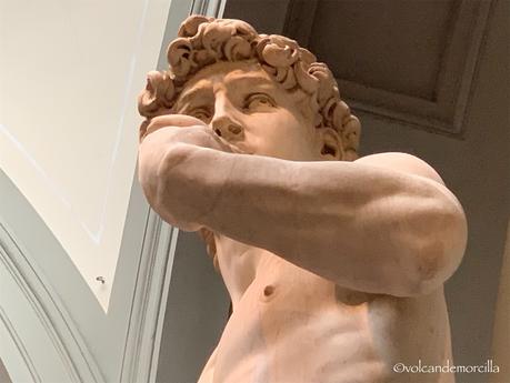 El secreto de El David esculpido por Miguel Angel. 7A7465C1-0079-457B-BDD6-5E79EBEB0B48.jpeg