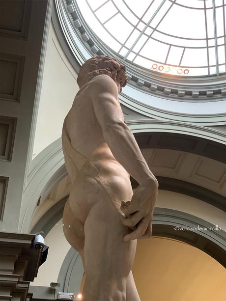 El secreto de El David esculpido por Miguel Angel. 8A026CAA-4259-40A0-B7A1-1EC4AA539836.jpeg