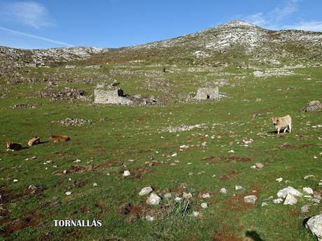 Asiegu-Picu Tiedu-La Cabeza Ubena-Tornallás
