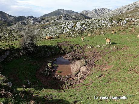 Asiegu-Picu Tiedu-La Cabeza Ubena-Tornallás