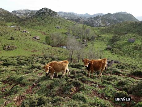 Asiegu-Picu Tiedu-La Cabeza Ubena-Tornallás