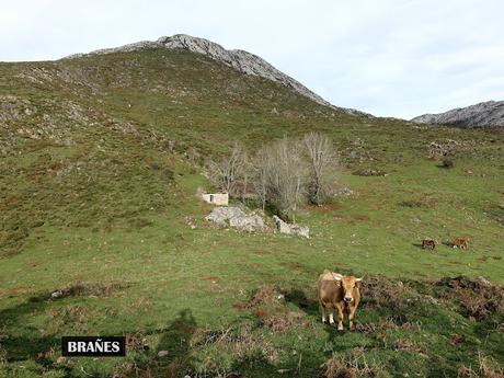 Asiegu-Picu Tiedu-La Cabeza Ubena-Tornallás