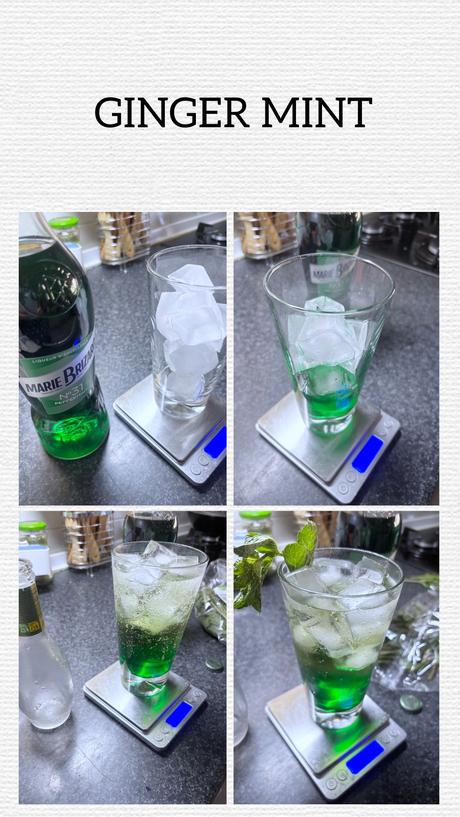 Ginger Mint Ginger Mint