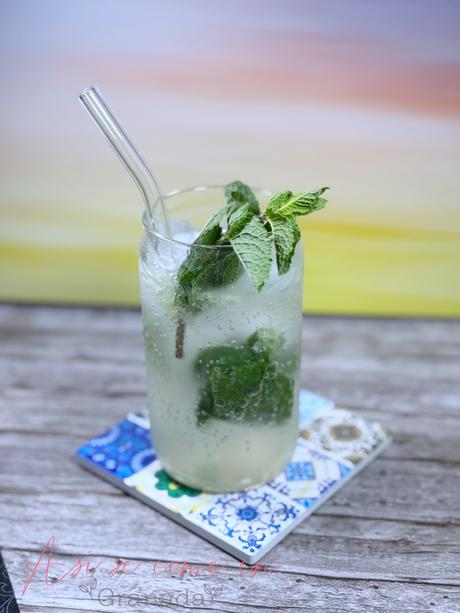 Virgin Mojito (Mojito sin alcohol) Virgin Mojito (Mojito sin alcohol)