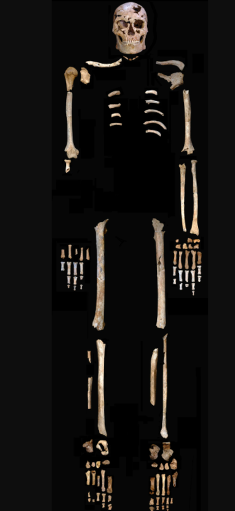 Esqueleto de la Edad de Hielo con cuello roto por ataque