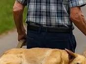 hace así, todos días...