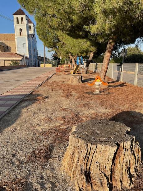 Eres más viejo que los pinos de Churra (2)