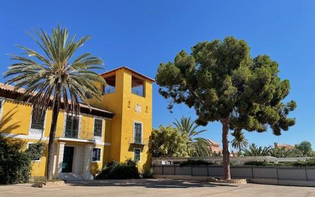 Eres más viejo que los pinos de Churra (2)