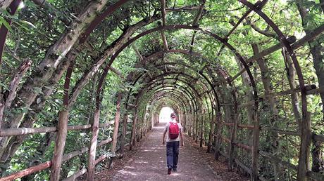 ALEMANIA : EL CASTILLO DE SCHWERIN ALEMANIA : EL CASTILLO DE SCHWERIN