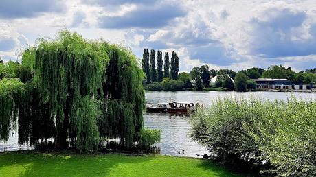 ALEMANIA : EL CASTILLO DE SCHWERIN ALEMANIA : EL CASTILLO DE SCHWERIN