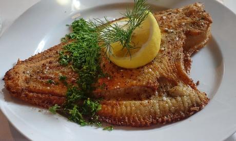 Lenguado y embarazo: ¿puede comerse sin riesgos? comer lenguado en el embarazo