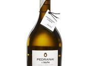 Pedranai 2023