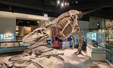 Museo en Chicago Field Museum