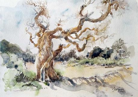 Dibujos y acuarelas agosto 2025 Dibujos y acuarelas agosto 2025