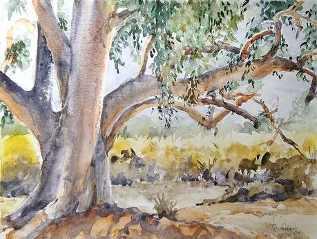 Dibujos y acuarelas agosto 2025 Dibujos y acuarelas agosto 2025