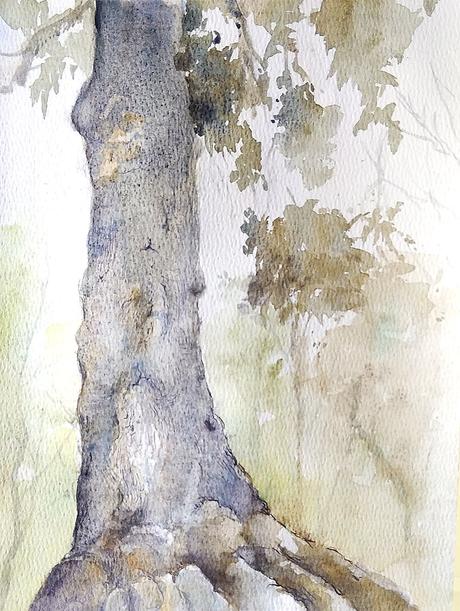 Dibujos y acuarelas agosto 2025 Dibujos y acuarelas agosto 2025