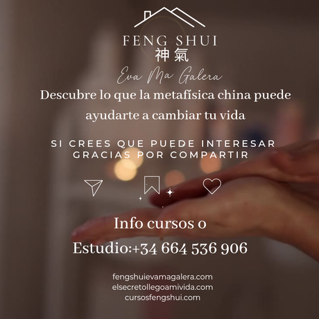 🌙 Hoy domingo 31 y el jueves 4 es Luna Creciente 🌒 ✨