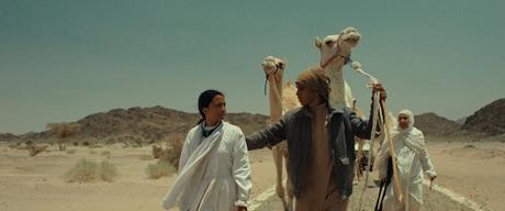 Venecia '25 - Parte 1: La pérdida