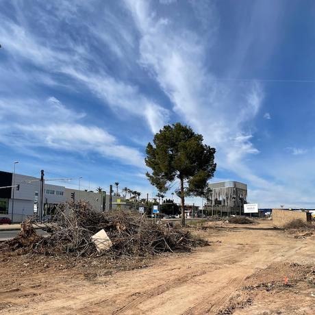 Eres más viejo que los pinos de Churra (3)