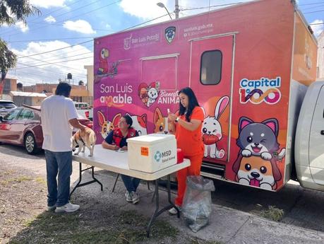 Programa de Bienestar Animal del Ayuntamiento mantiene vacunación y esterilización gratuitas Programa de Bienestar Animal del Ayuntamiento mantiene vacunación y esterilización gratuitas