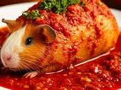 Historia Variedades Cuy: Tradición, Sabor Cultura Andina