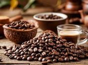 Cambio Mercado Café, Principales Importaciones, Exportaciones Guía Comercial 2025