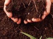 debe conocer sustratos