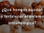 ¿Qué hongos ayudan fortalecer sistema inmunológico?