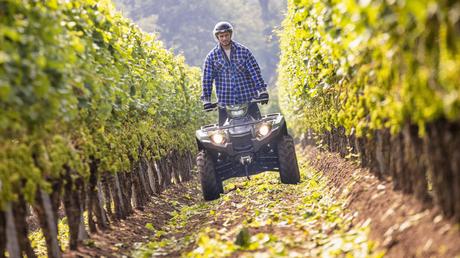 Vendimiar en un Quad Yamaha ya es posible